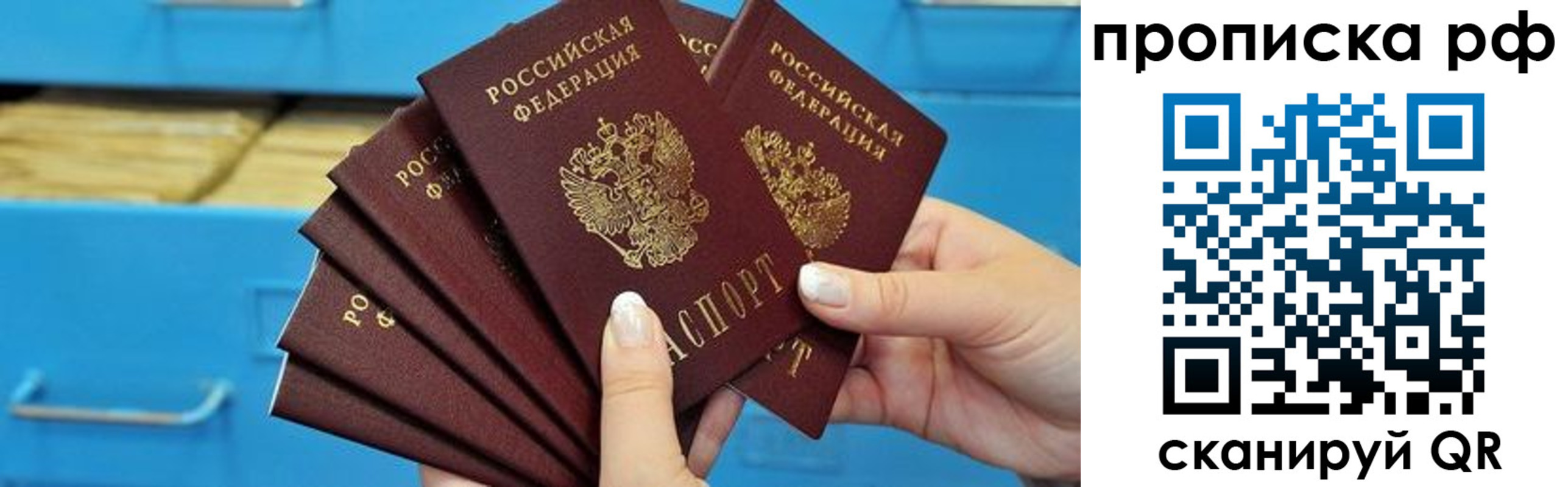 прописка поиск в Пушкино